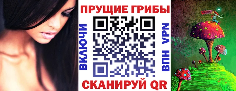Псилоцибиновые грибы GOLDEN TEACHER  Купить  Пустошка 